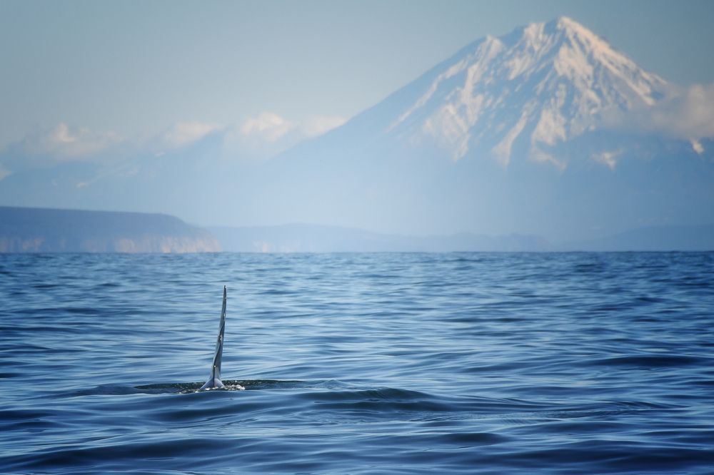 Photograph by Вячеслав Косенков