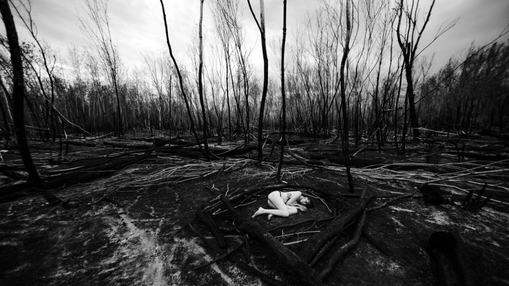 Photograph by Дмитрий Рогов