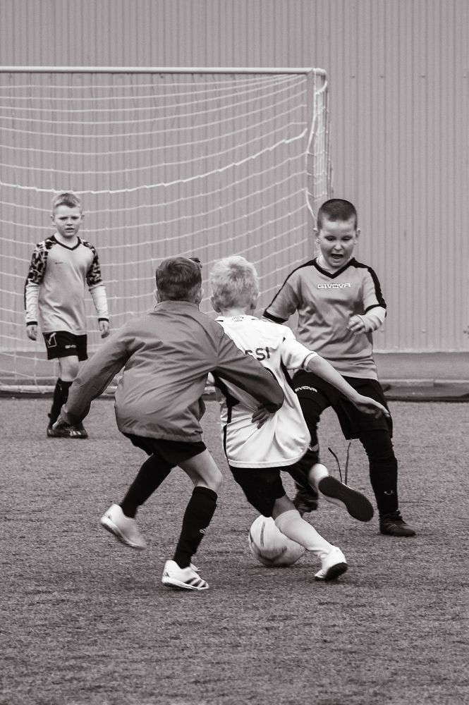 Photograph by Светлана Карнаух