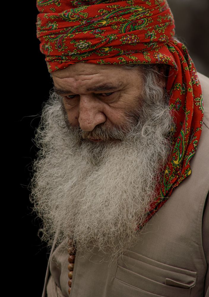 Фотография автора mohammad Alipour