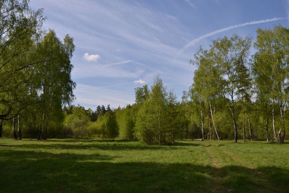 Красота в простоте