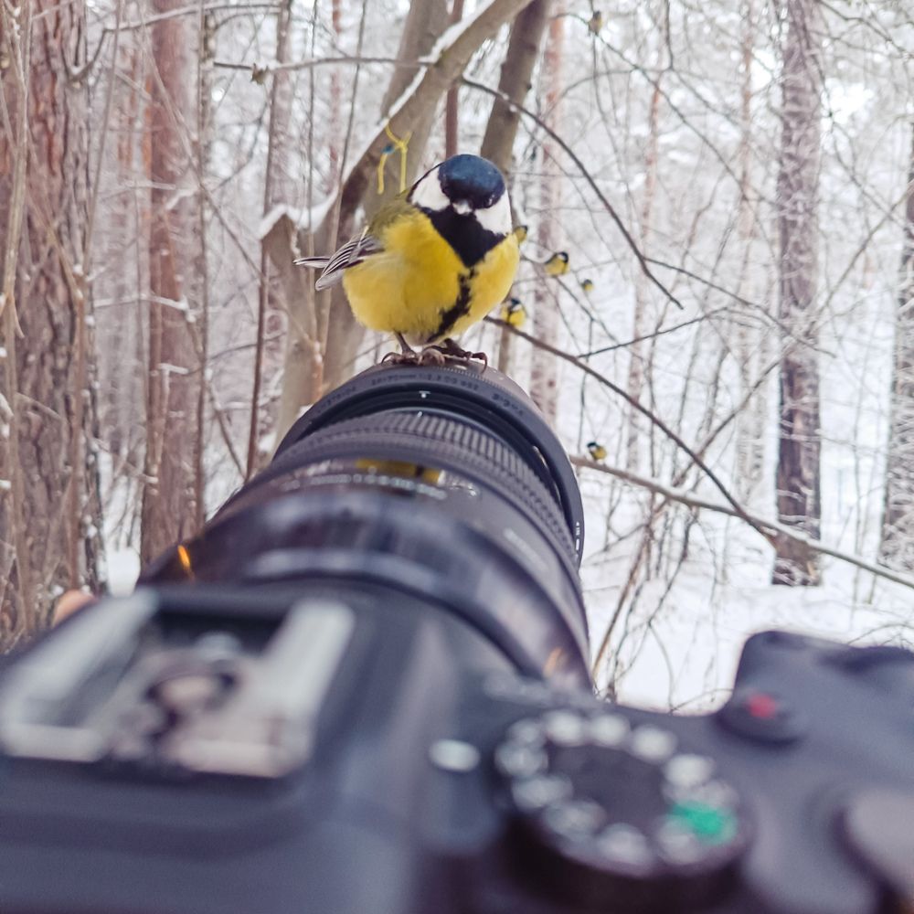 Photograph by Вячеслав Анатольевич