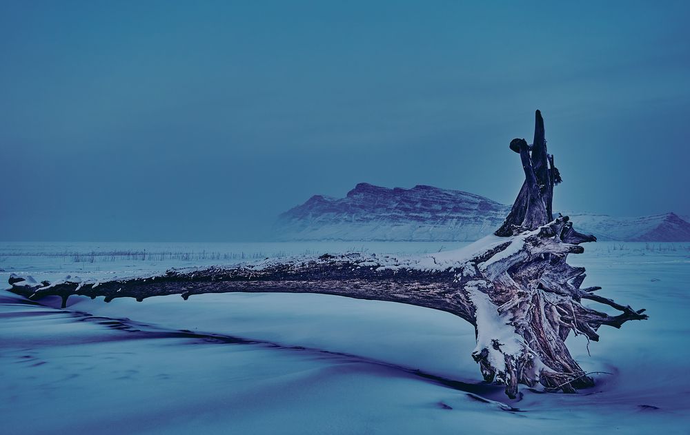 Зимний Тепсей.