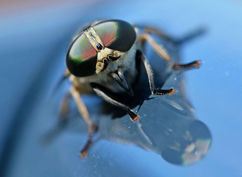 Photograph by Marjo Steffen