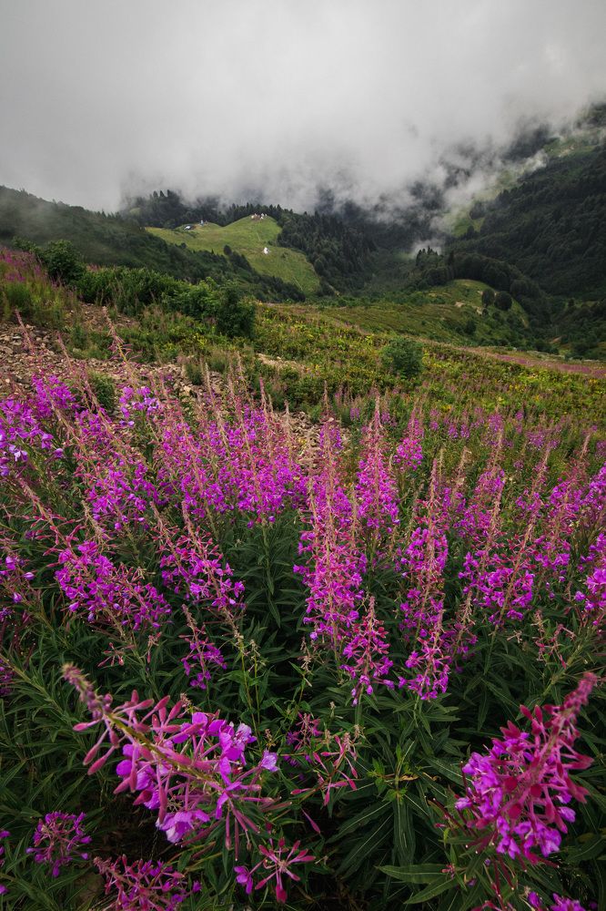 Фотография автора Konstantin Shendel