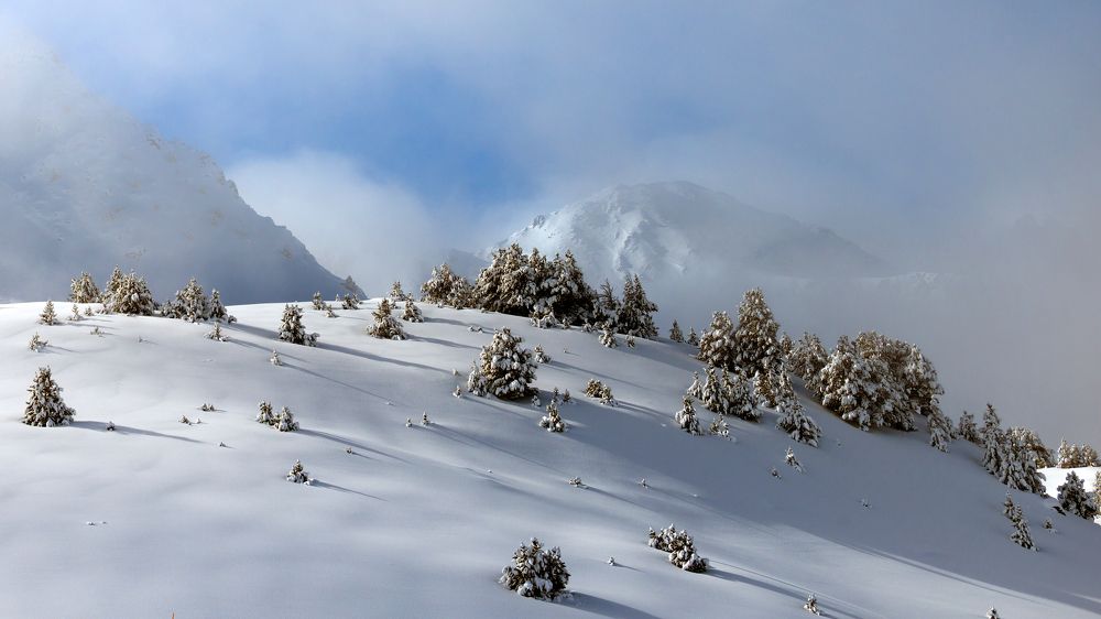 Вместе веселей