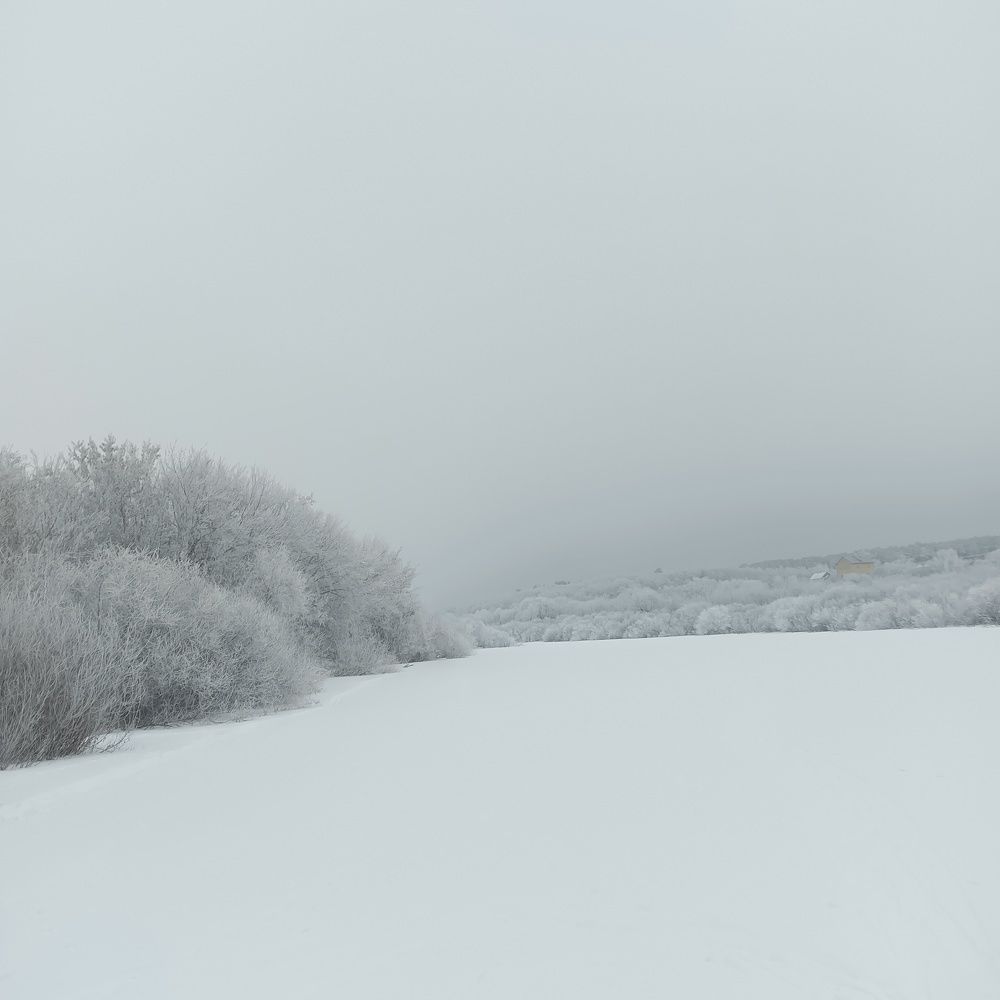 Photo #11540080