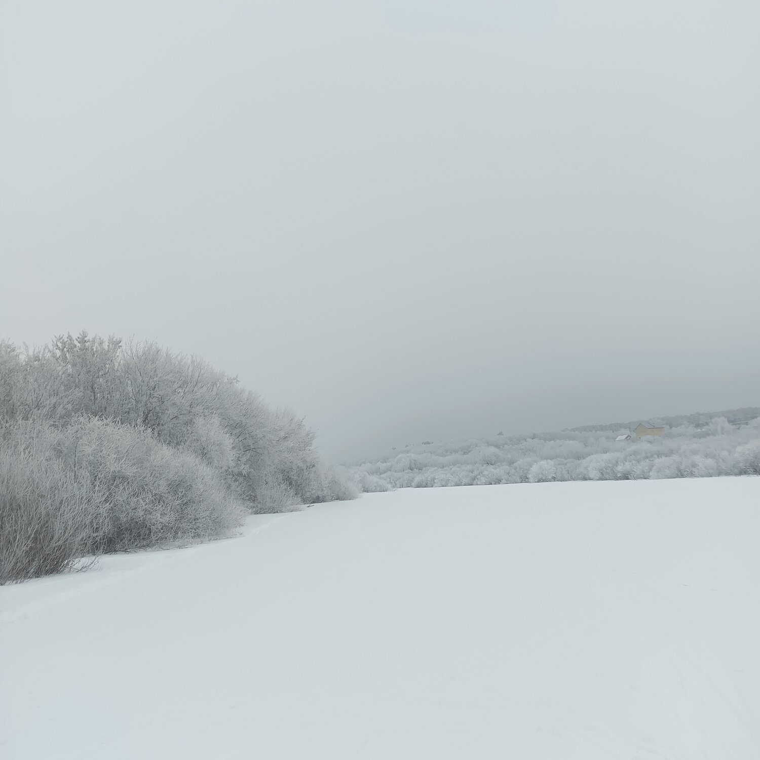 Photo #11540080