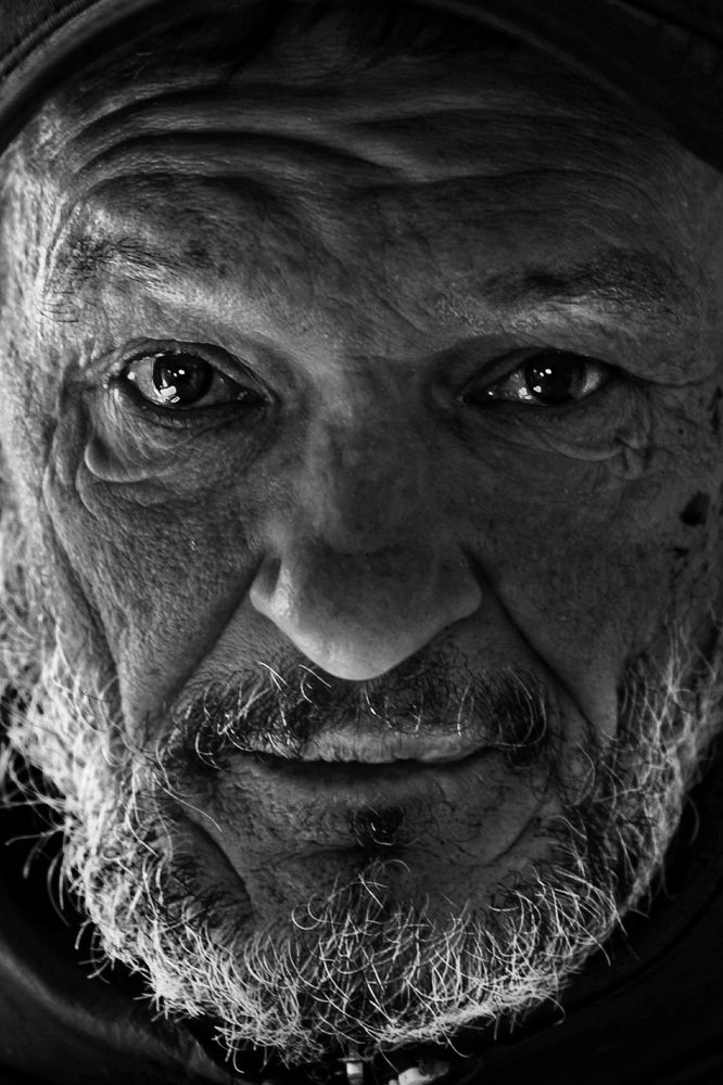 Photograph by Нелли Золотая