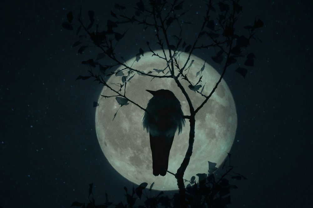 Photograph by Ірина Харитонова