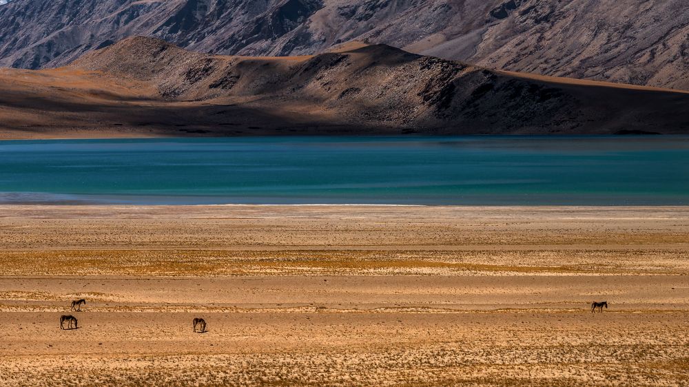 Photograph by KAR ARANYA