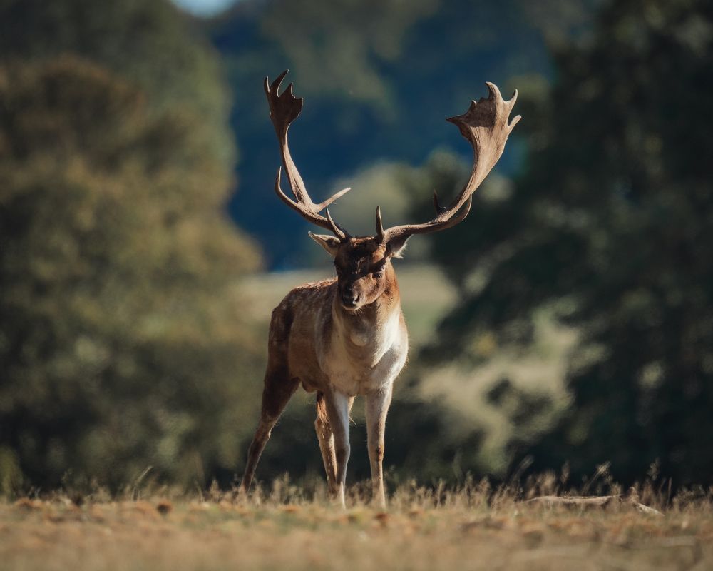 Photograph by Romans Kalans