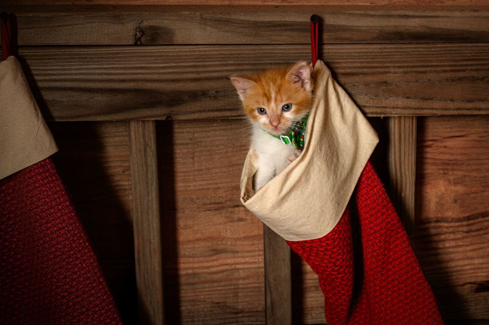 Фотография автора Erik Nelson