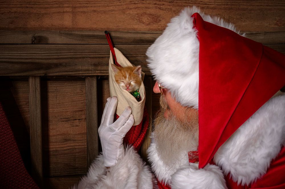 Фотография автора Erik Nelson