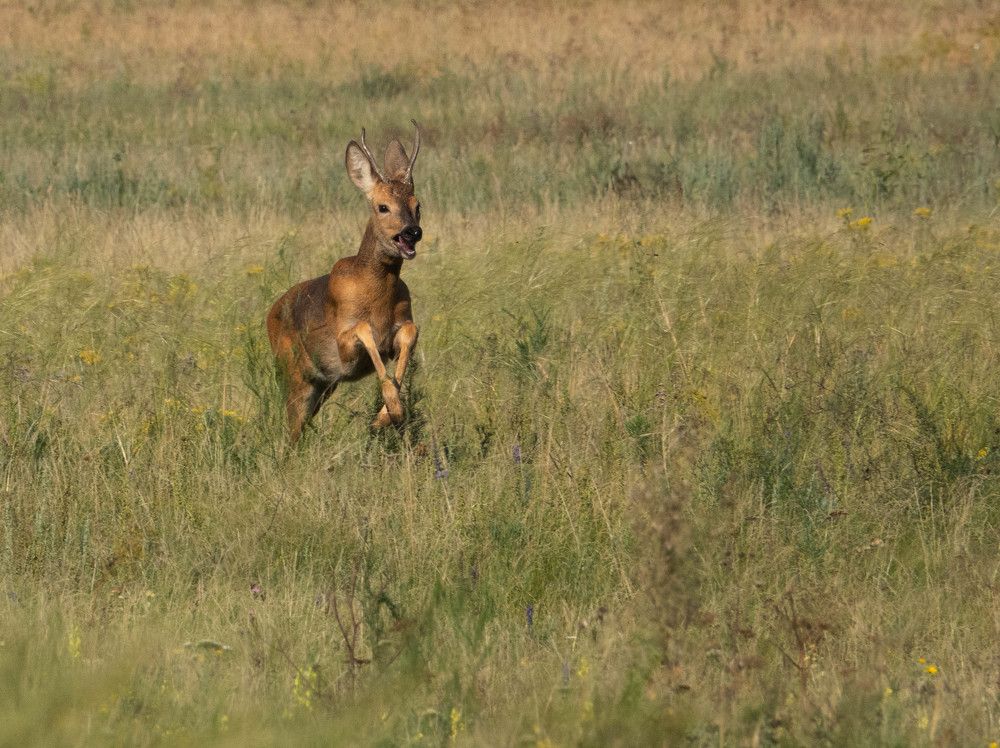 Photograph by Андрей Кротов