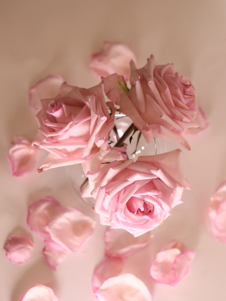 Photograph by Мария Устьянцева