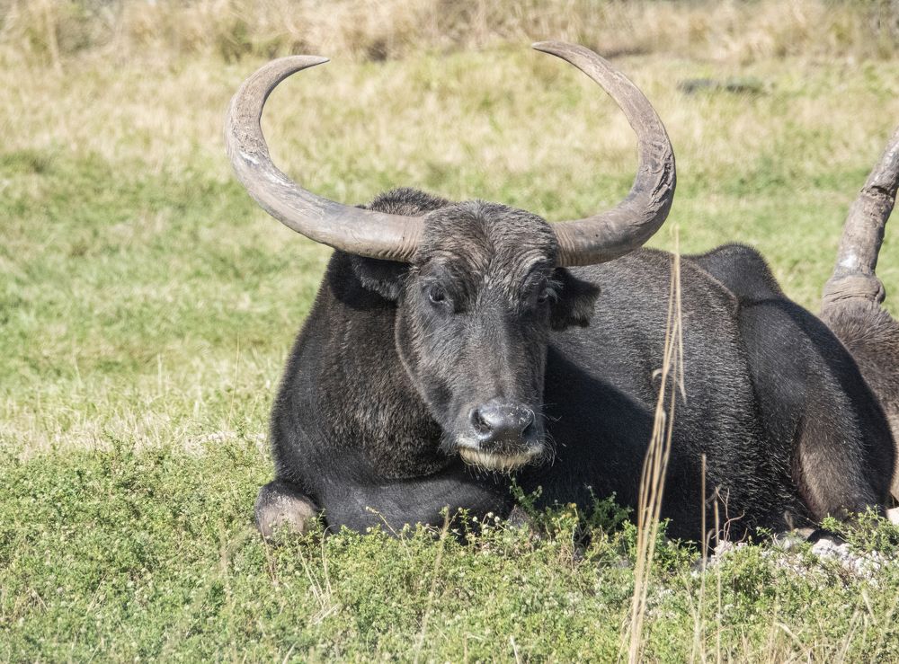 Photograph by Андрей Кротов