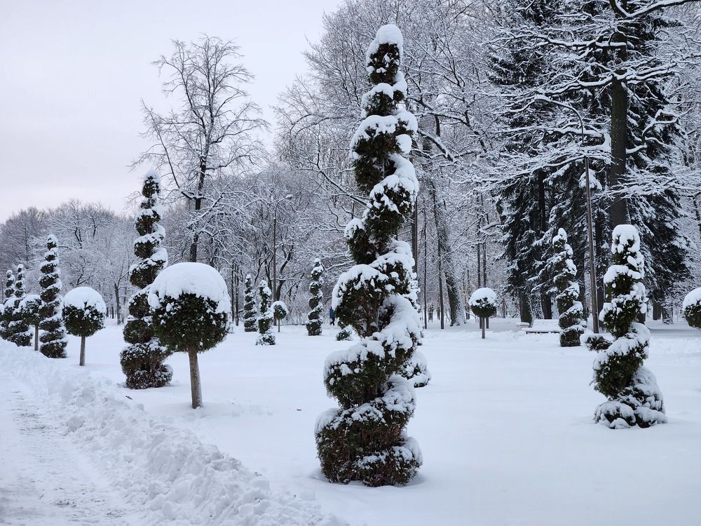 Фотография автора Нонна Подольская