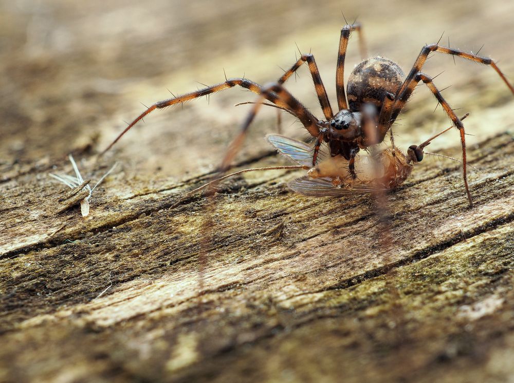 Фотография автора Илья