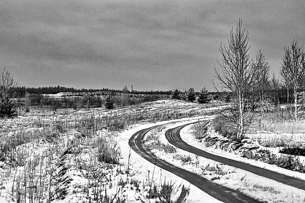 Фотография автора Елена Чиликина