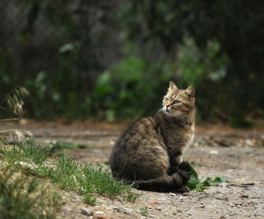 Photograph by Ірина Харитонова