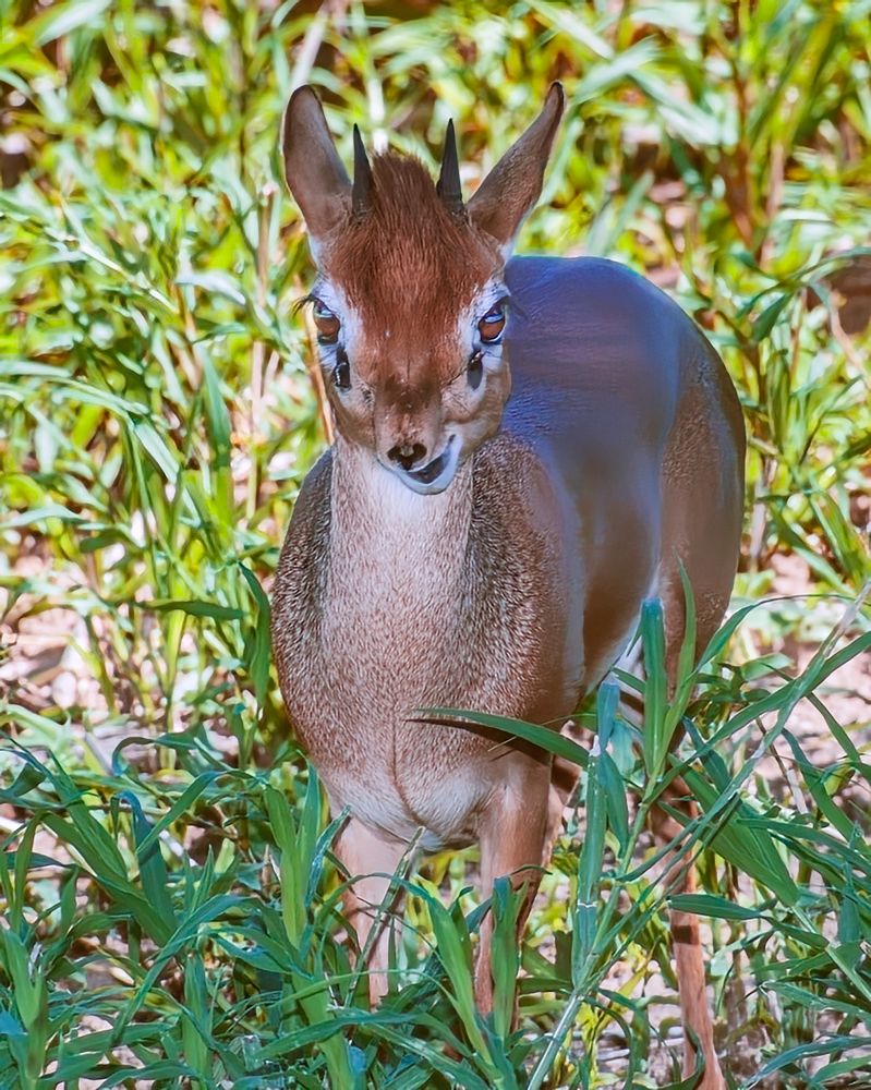 Фотография автора gagarin andrey