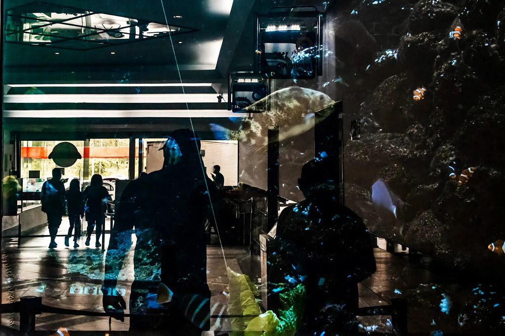 Фотография автора Jesse Cavalcante