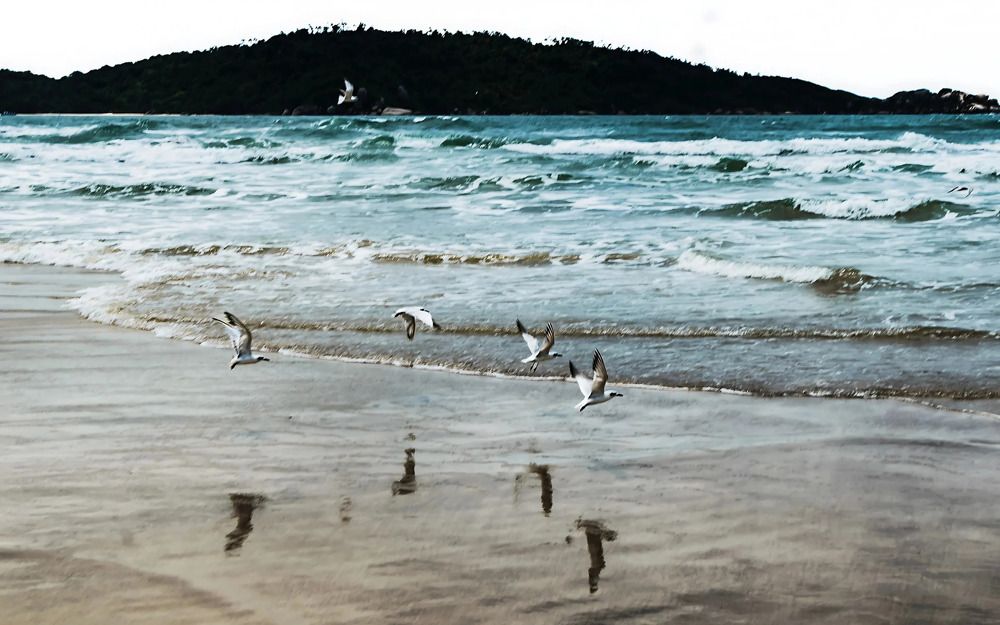 Фотография автора Jesse Cavalcante