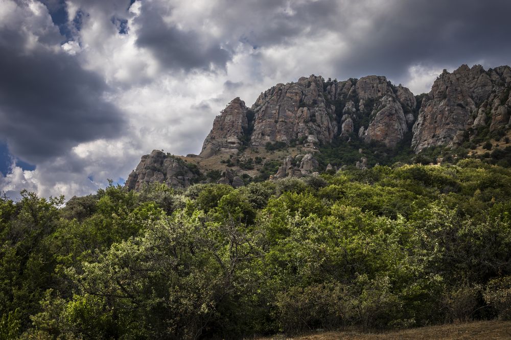 Photograph by Татьяна Дубовицкая