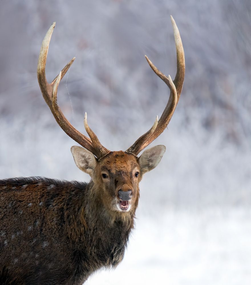 Фотография автора Михаил Ездаков