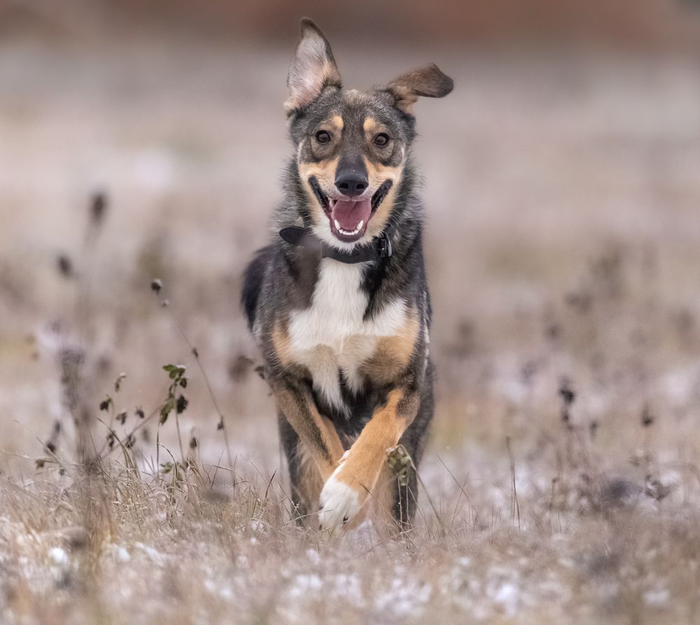 Photograph by Елена Хорохорина