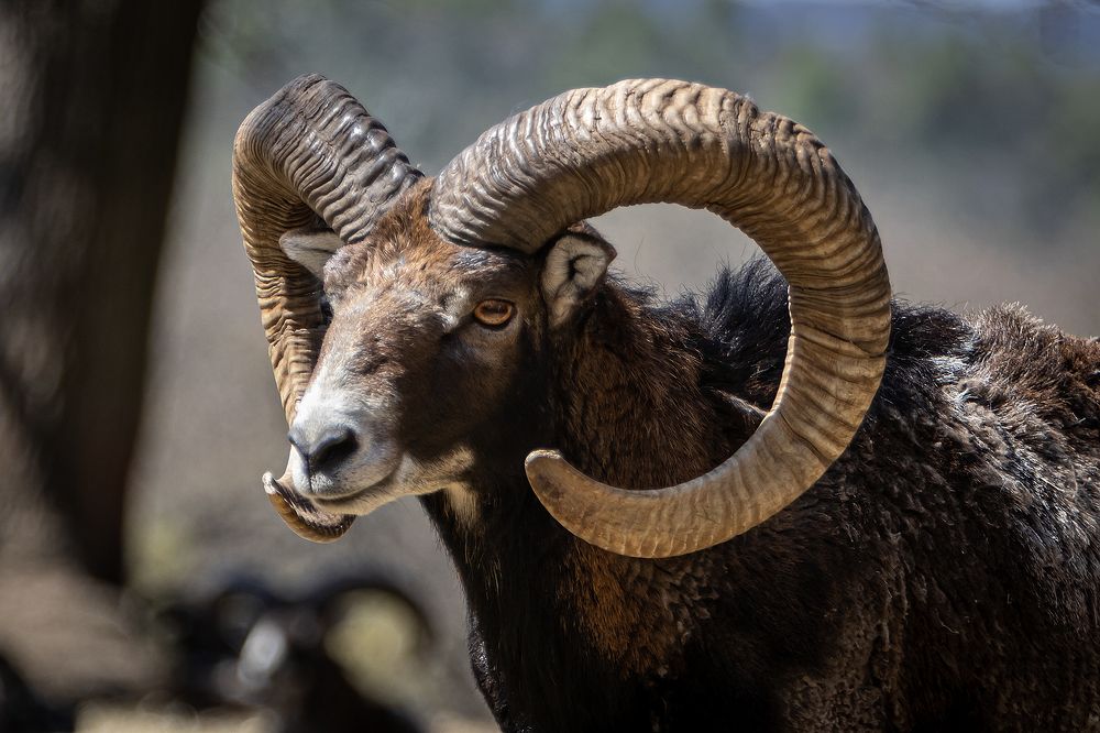 Photograph by Yuri Merkulov