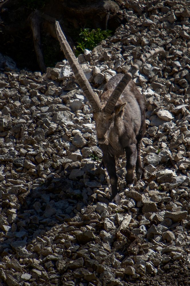 Photograph by Yuri Merkulov