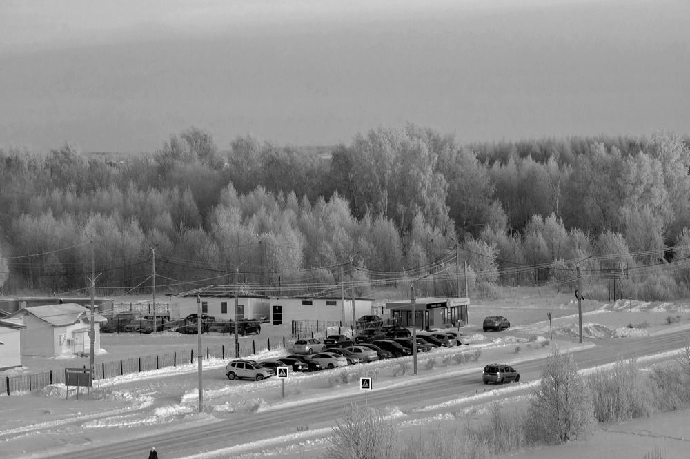 Photograph by Любовь Перевозникова