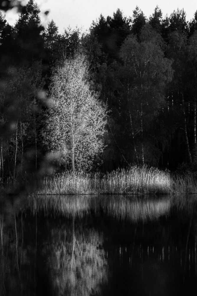 Photograph by Yuliya Karpova