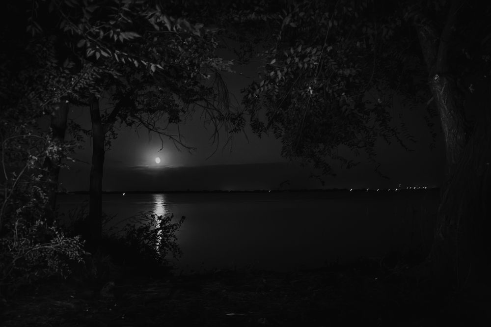 Photograph by Yuliya Karpova