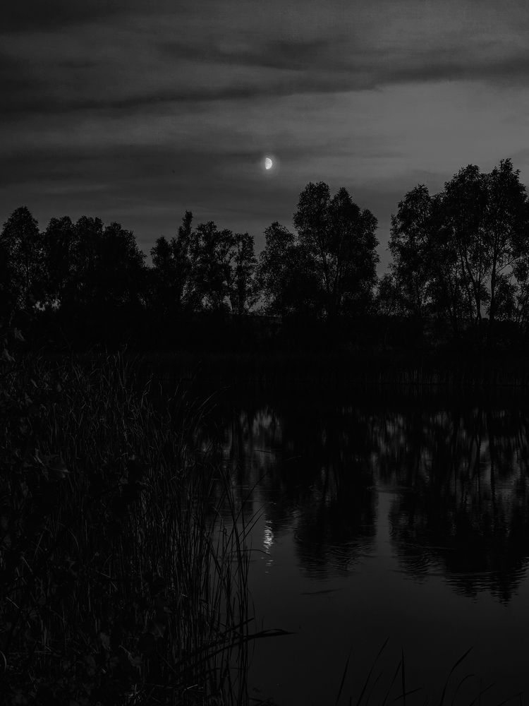 Photograph by Yuliya Karpova