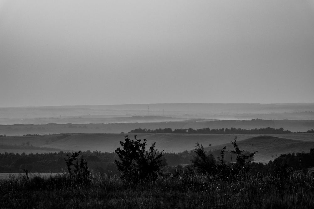 Photograph by Yuliya Karpova