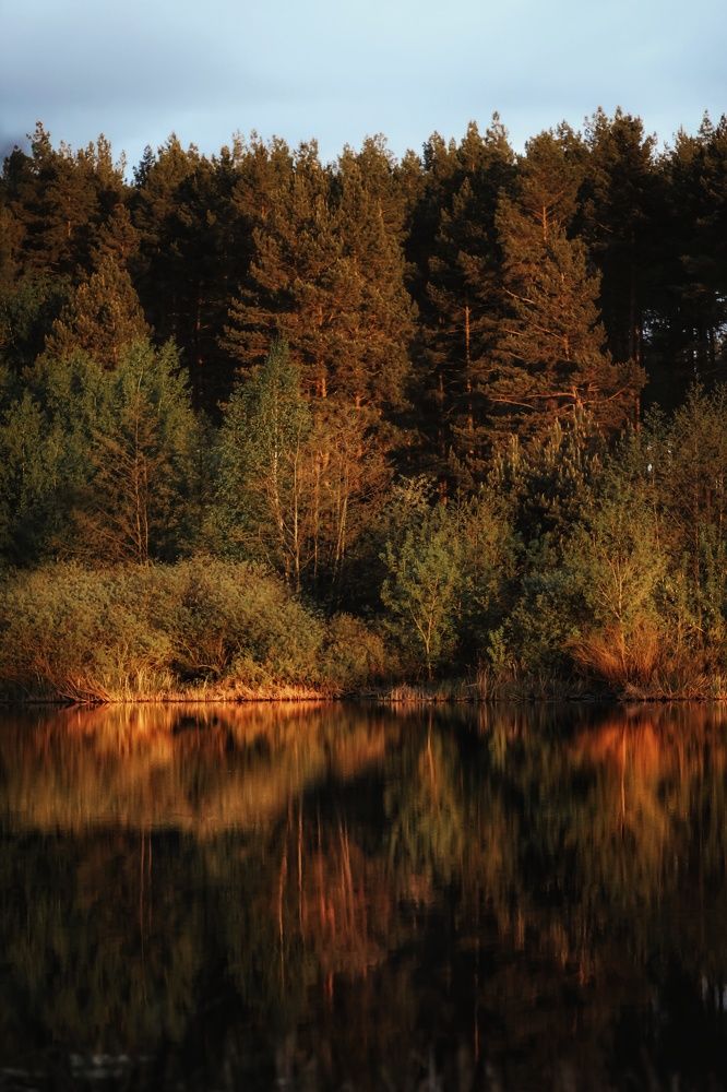 Photograph by Yuliya Karpova