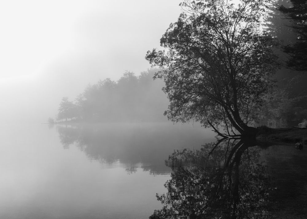 Photograph by Yuri Merkulov