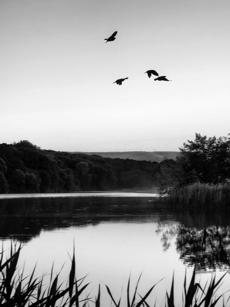 Photograph by Yuliya Karpova