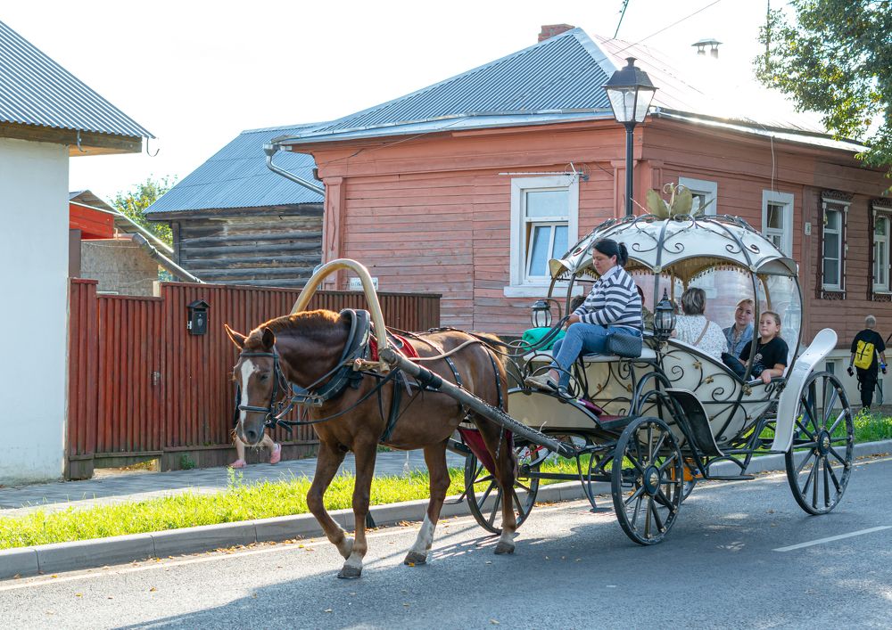 Фотография автора Максим Жухлистов