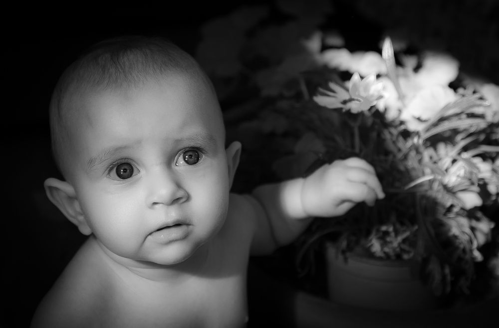 Photograph by Алексей Мякота