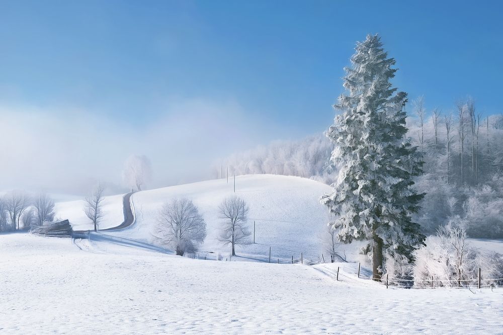 Photograph by Wymann Elena