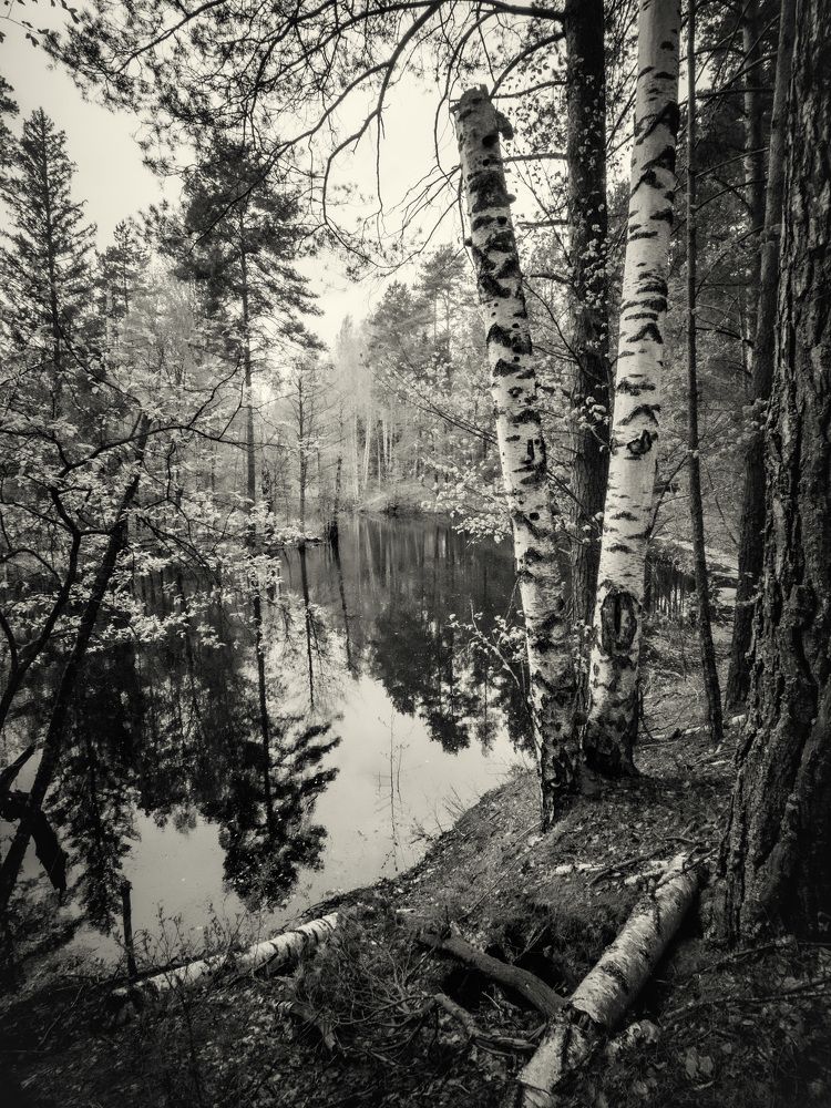 Photograph by Сергей Забиякин