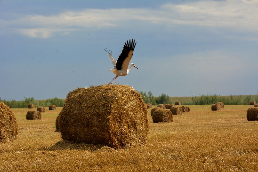Фотография автора Наталья Бачуринская