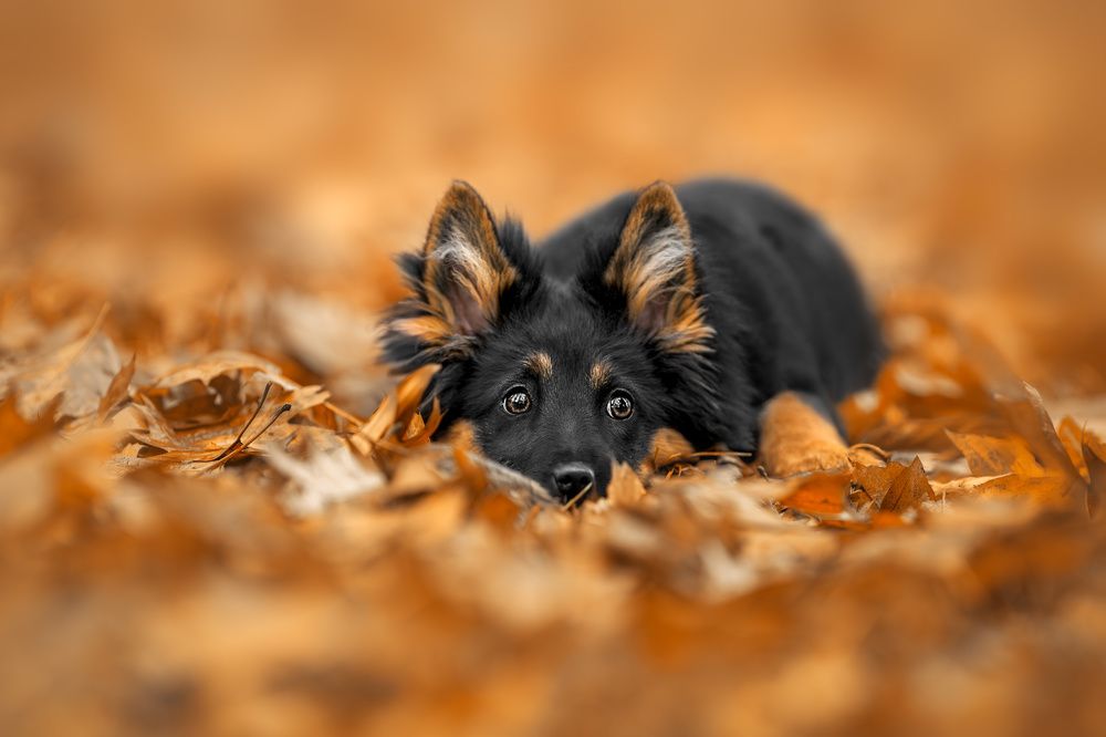 Фотография автора Lucie Nermuťová