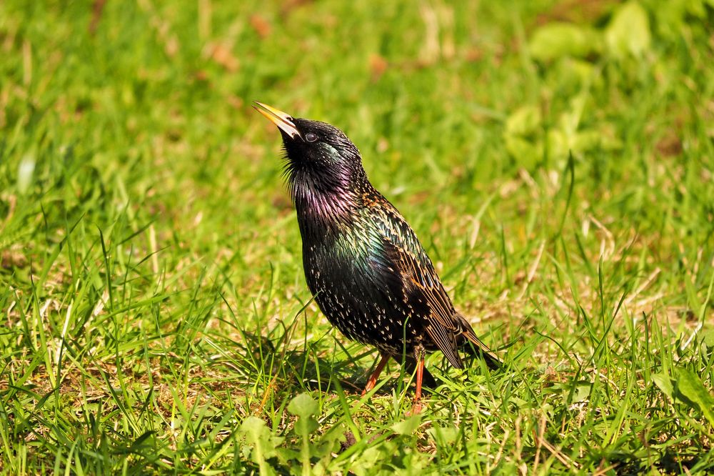 Photograph by Vitalijs Kopa