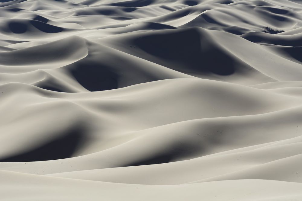 Photograph by Елена Вторушина