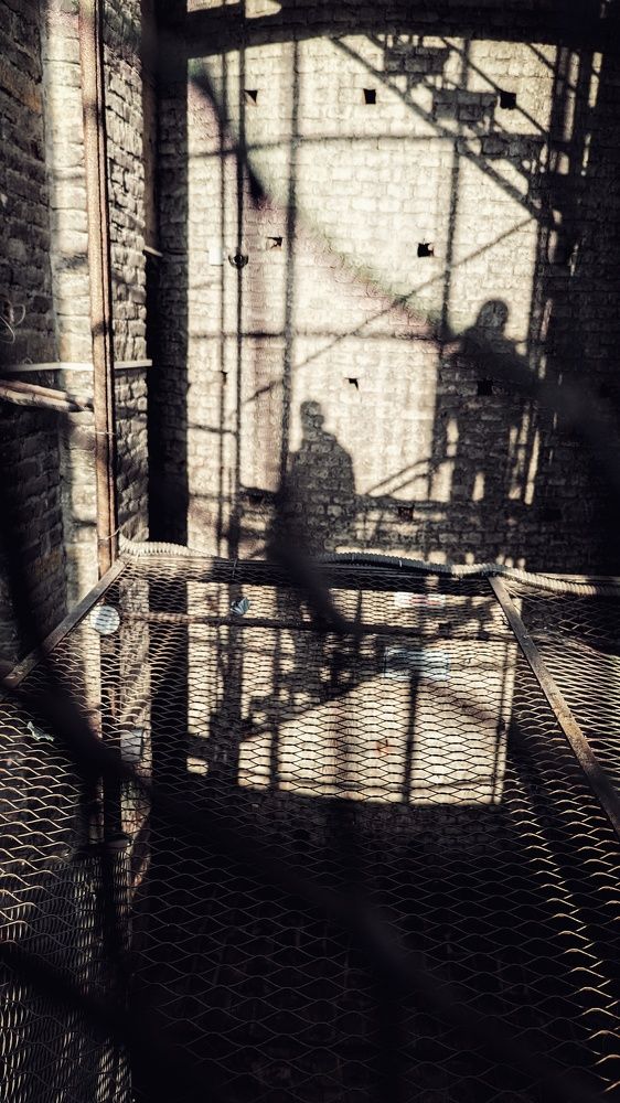 Photograph by Игорь Шамин